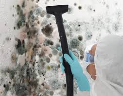 Best Mold Removal for HVAC Installations  in Speer, NC